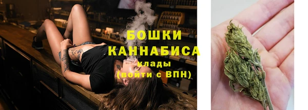 прущая мука Елабуга