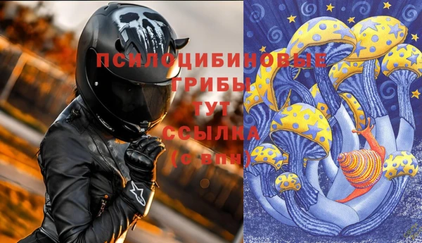 прущая мука Елабуга