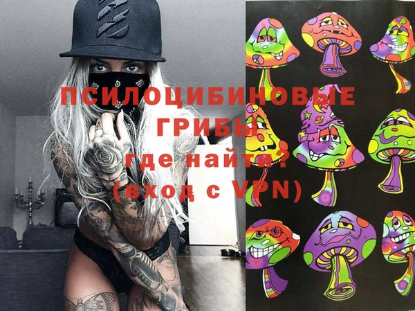 MDMA Ельня